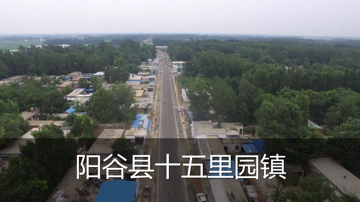 阳谷县十五里园镇